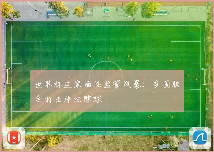 世界杯庄家面临监管风暴：多国联合打击非法赌球