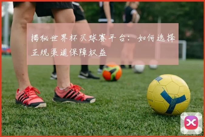 揭秘世界杯买球赛平台:如何选择正规渠道保障权益