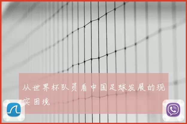 从世界杯队员看中国足球发展的现实困境