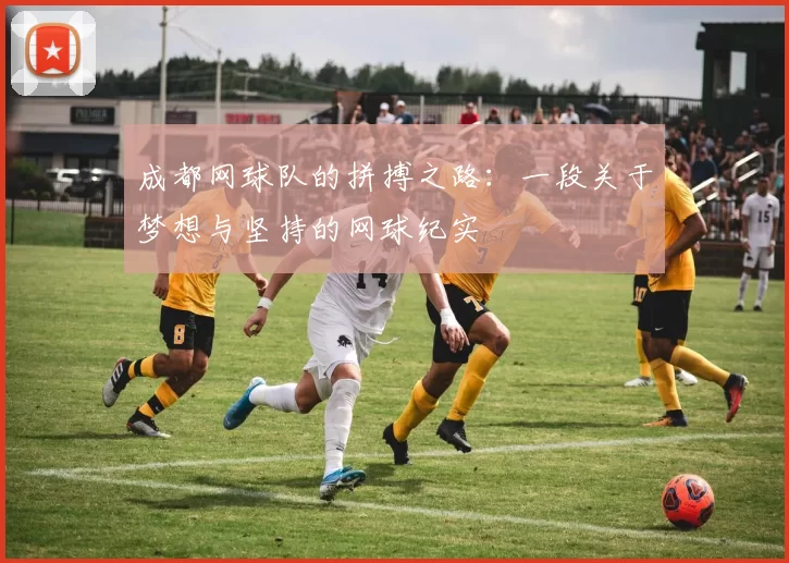 成都网球队的拼搏之路:一段关于梦想与坚持的网球纪实
