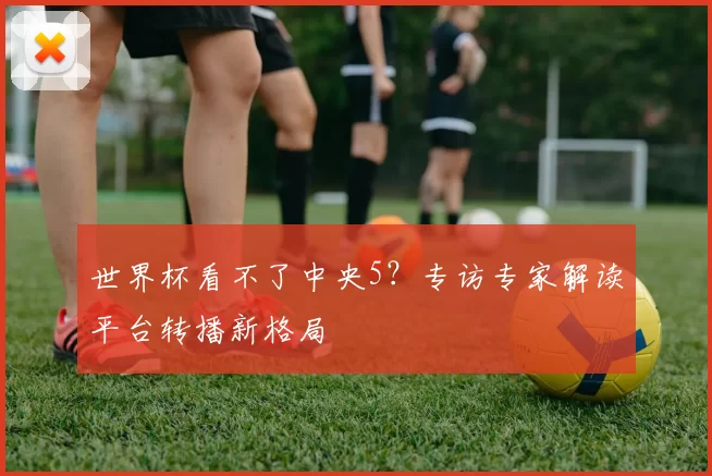 世界杯看不了中央5?专访专家解读平台转播新格局