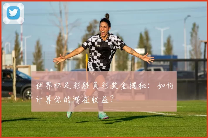 世界杯足彩胜负彩奖金揭秘:如何计算你的潜在收益?