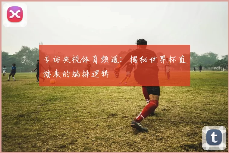专访央视体育频道：揭秘世界杯直播表的编排逻辑