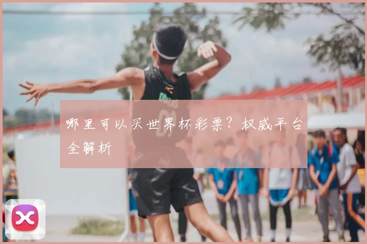 哪里可以买世界杯彩票？权威平台全解析