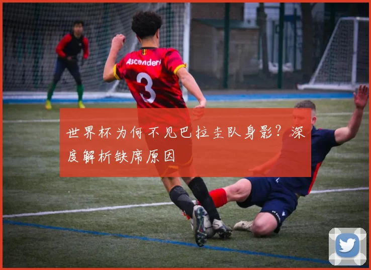 世界杯为何不见巴拉圭队身影?深度解析缺席原因