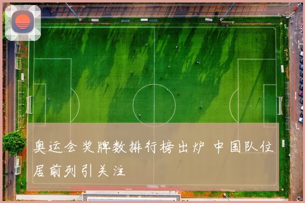 奥运会奖牌数排行榜出炉 中国队位居前列引关注