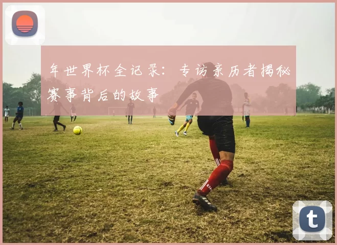 年世界杯全记录：专访亲历者揭秘赛事背后的故事