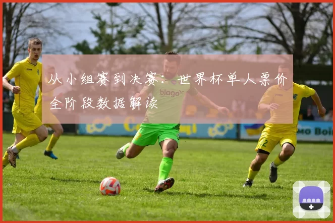 从小组赛到决赛:世界杯单人票价全阶段数据解读