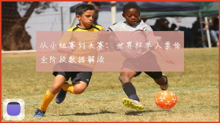 从小组赛到决赛：世界杯单人票价全阶段数据解读