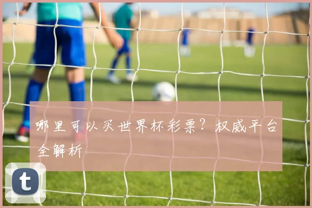 哪里可以买世界杯彩票？权威平台全解析