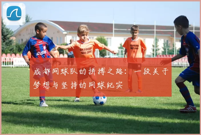 成都网球队的拼搏之路:一段关于梦想与坚持的网球纪实