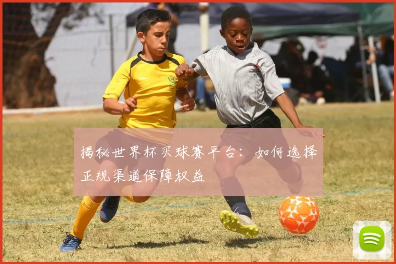 揭秘世界杯买球赛平台：如何选择正规渠道保障权益