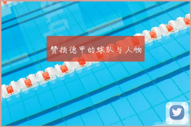 赞扬德甲的球队与人物
